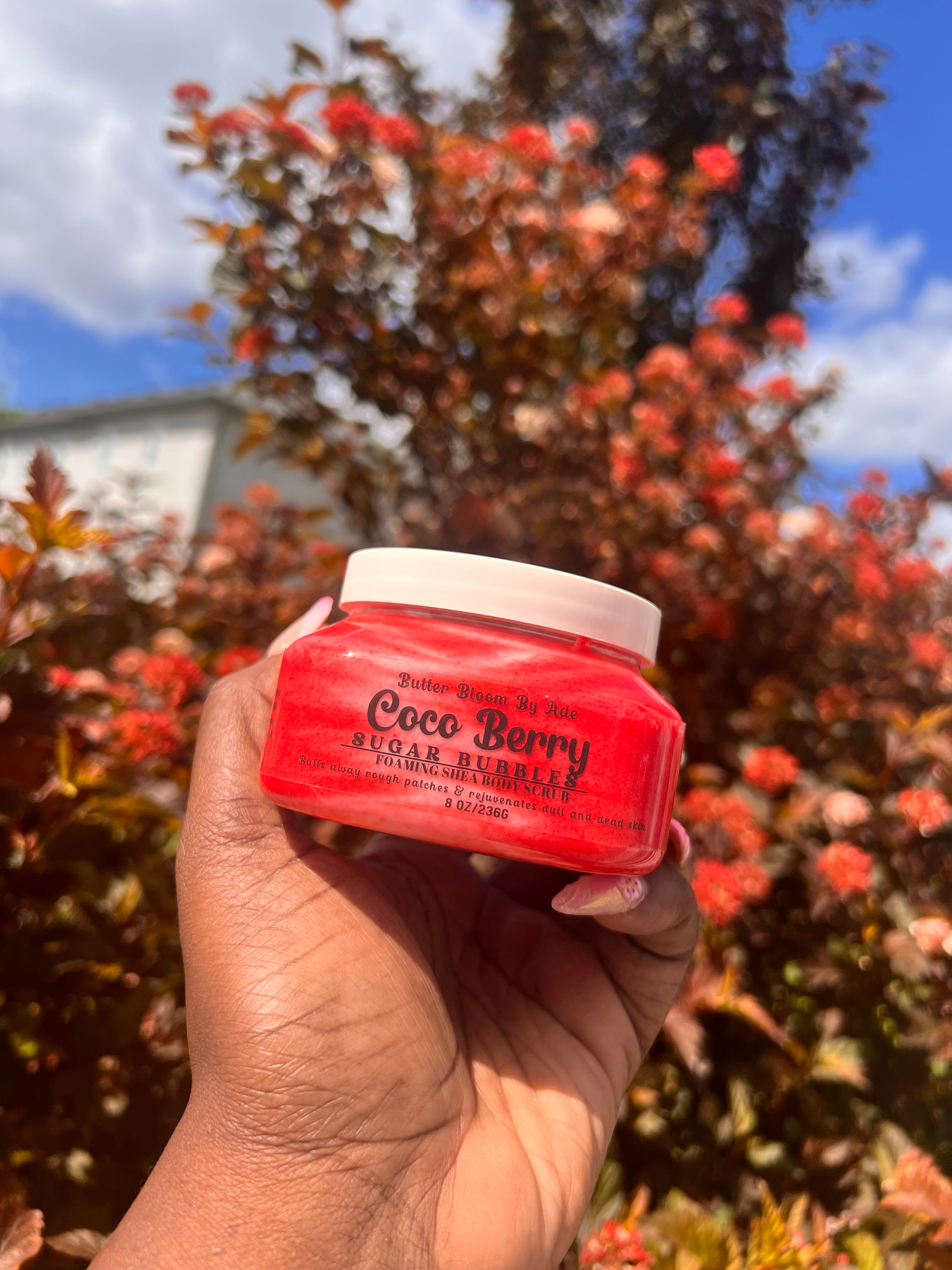 Coco Berry Sugar Bubbles